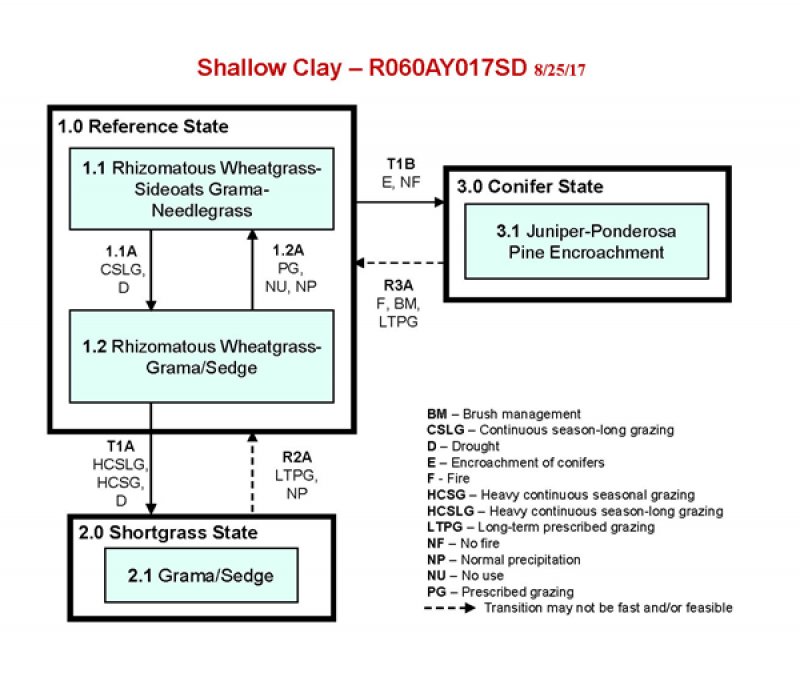 Model diagram