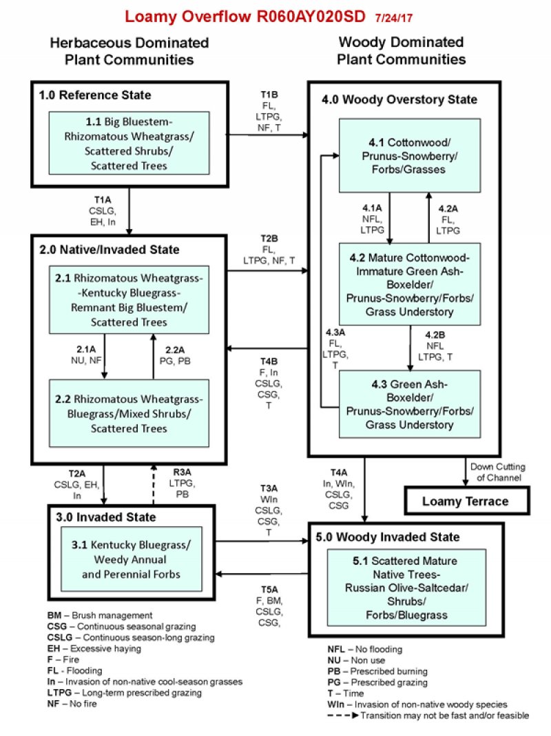Model diagram