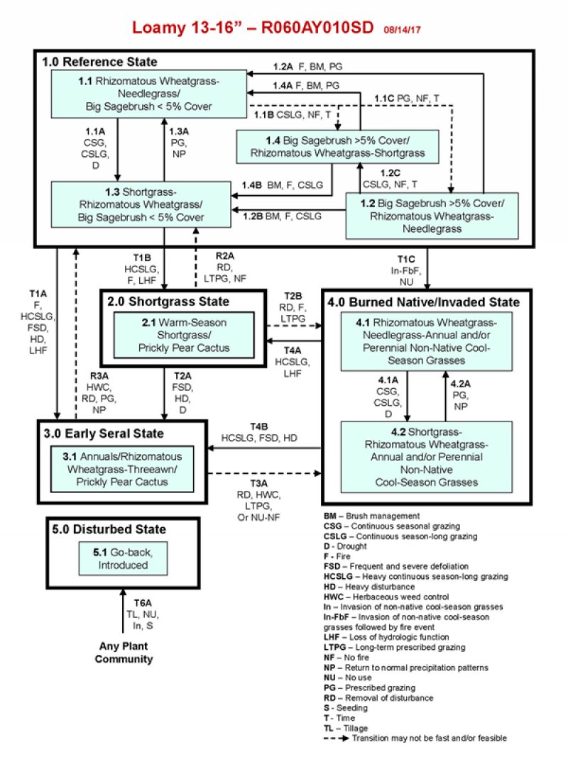 Model diagram