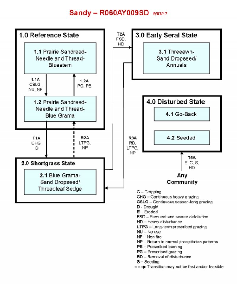 Model diagram