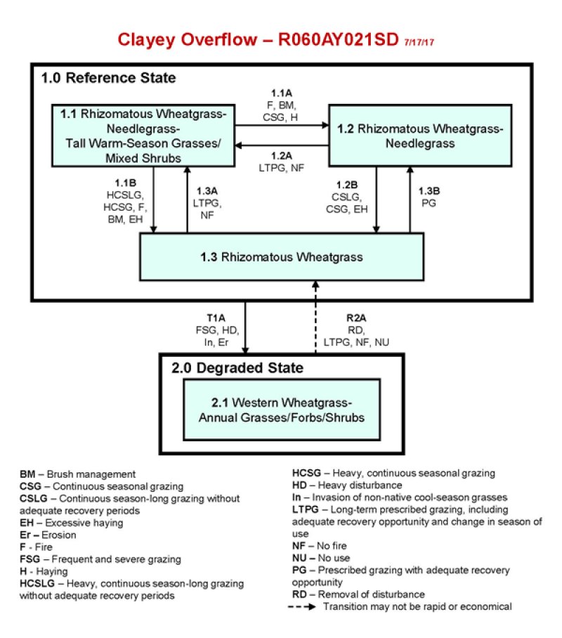 Model diagram