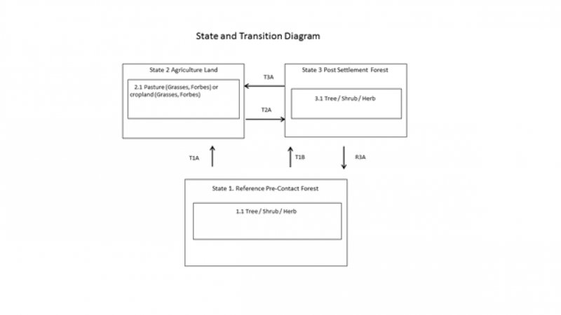 Model diagram