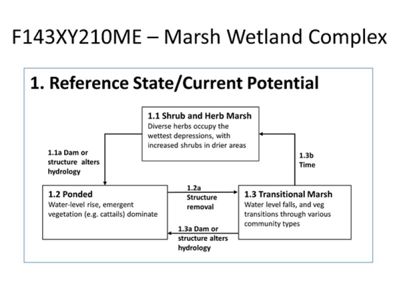 Model diagram