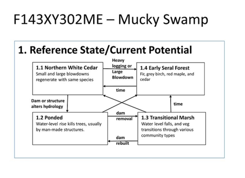 Model diagram