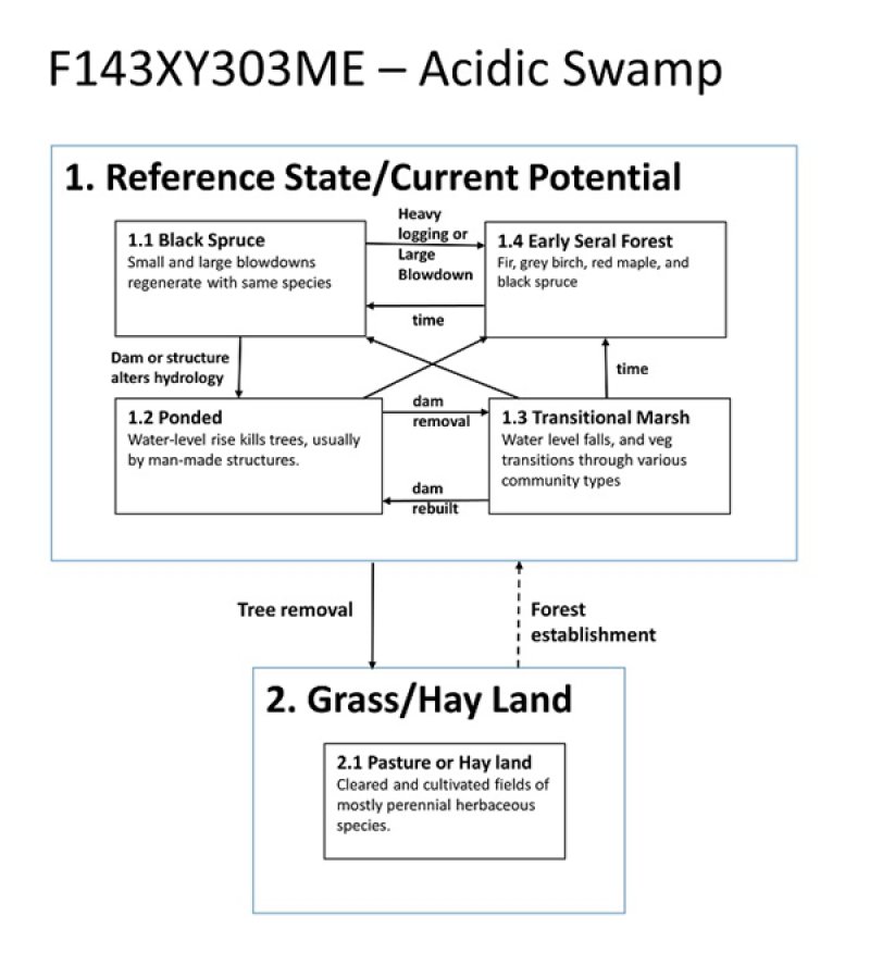 Model diagram