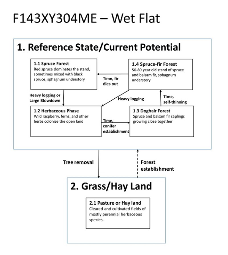 Model diagram
