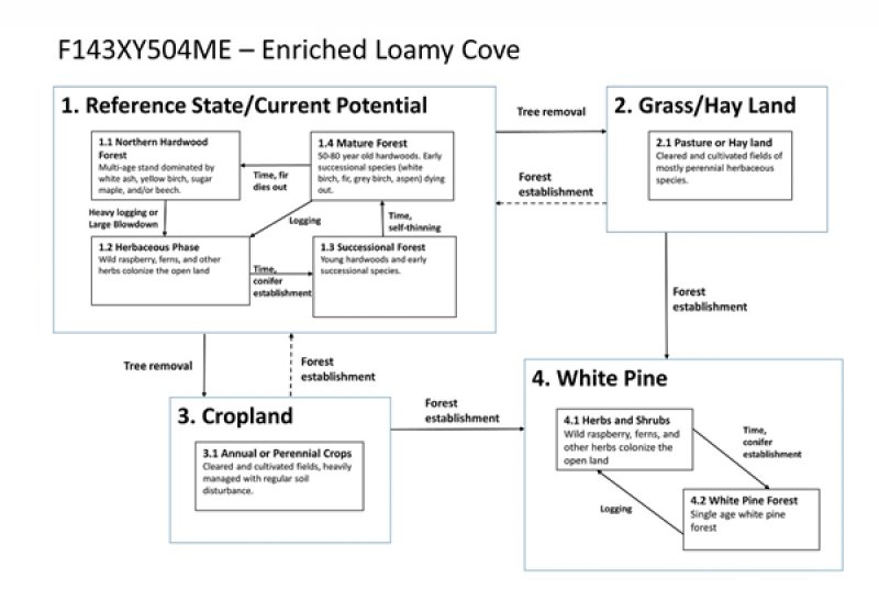 Model diagram