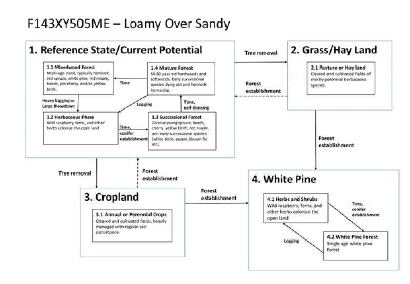 Model diagram