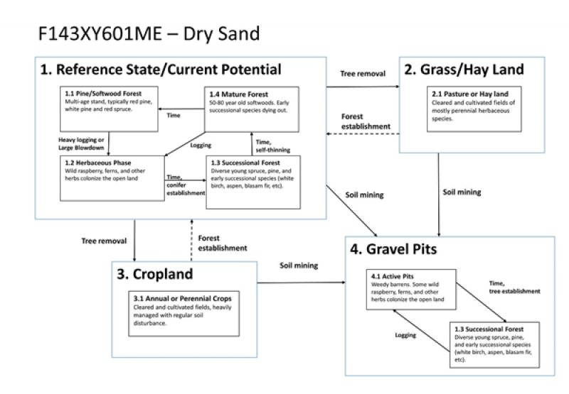 Model diagram