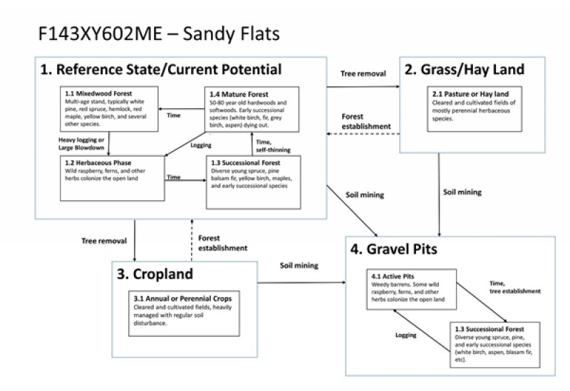 Model diagram