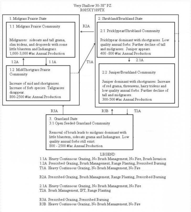 Model diagram