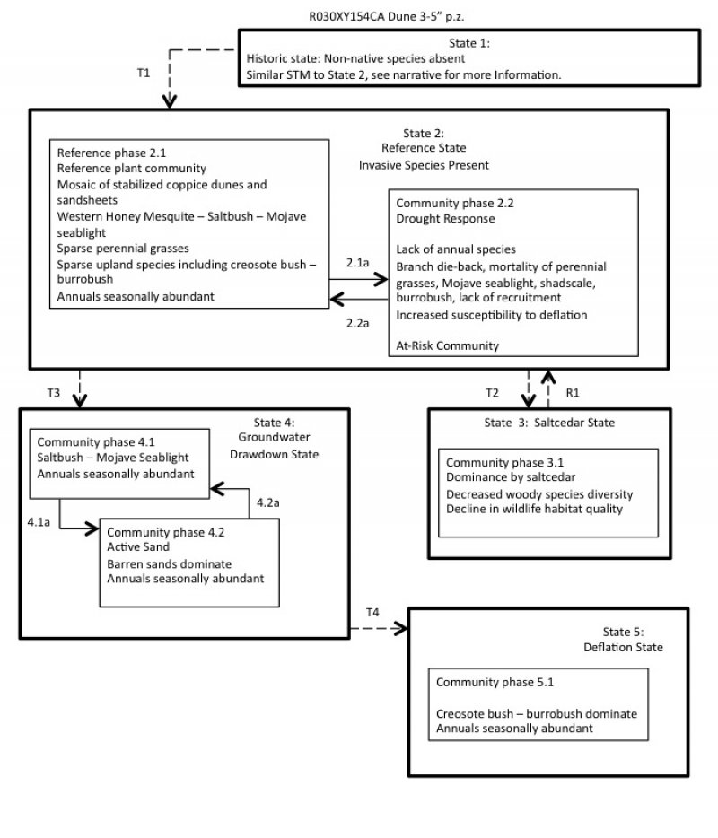 Model diagram