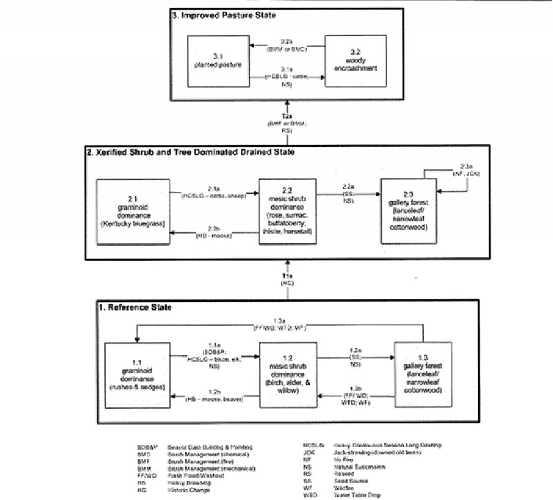 Model diagram