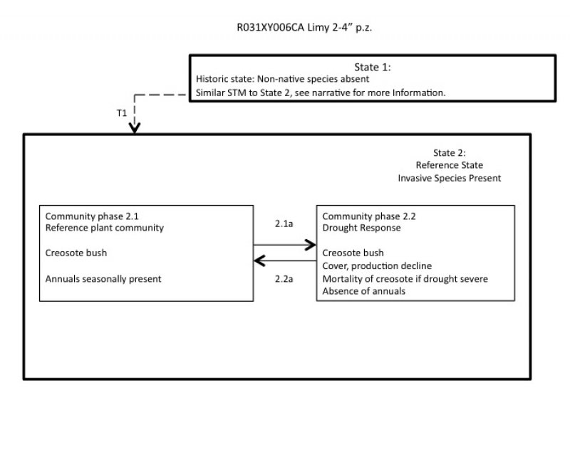 Model diagram