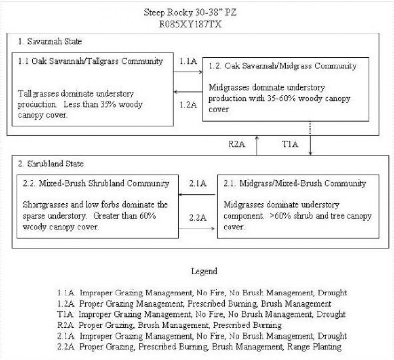 Model diagram