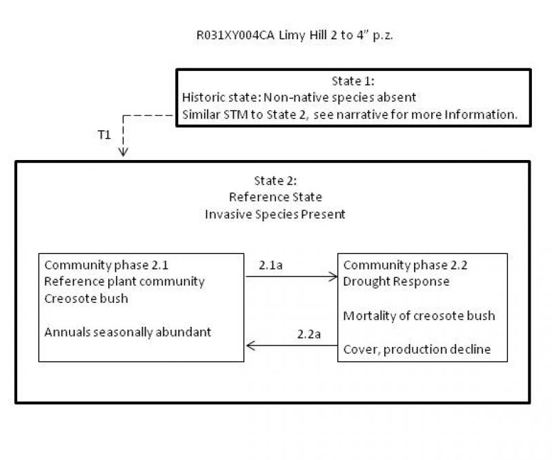Model diagram
