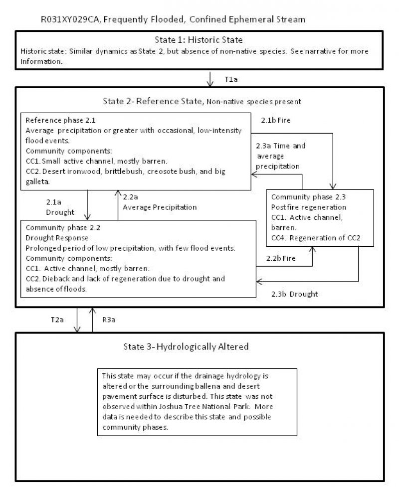 Model diagram