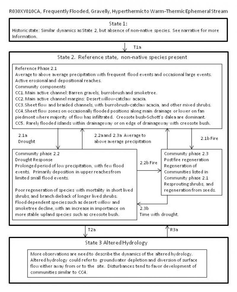Model diagram