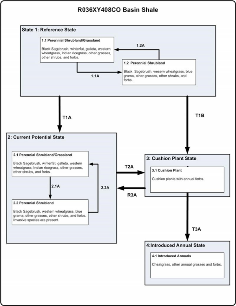 Model diagram