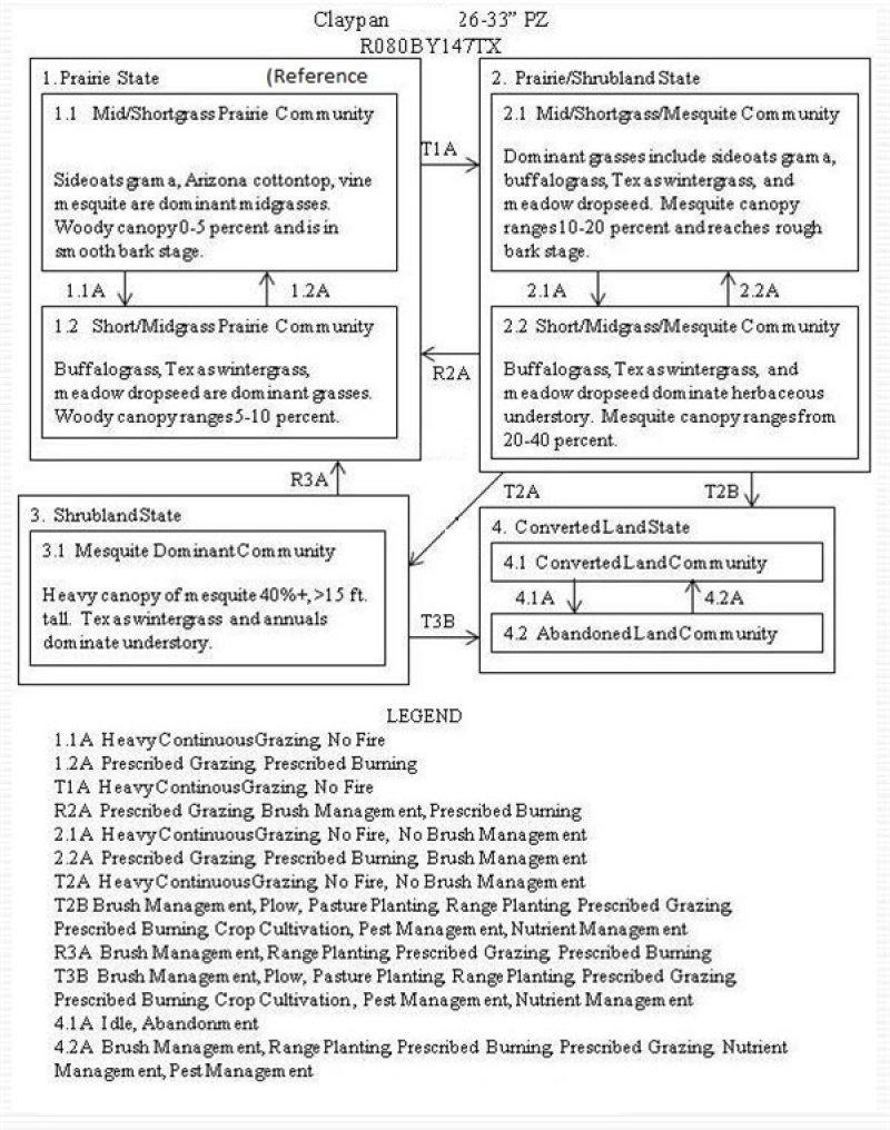 Model diagram