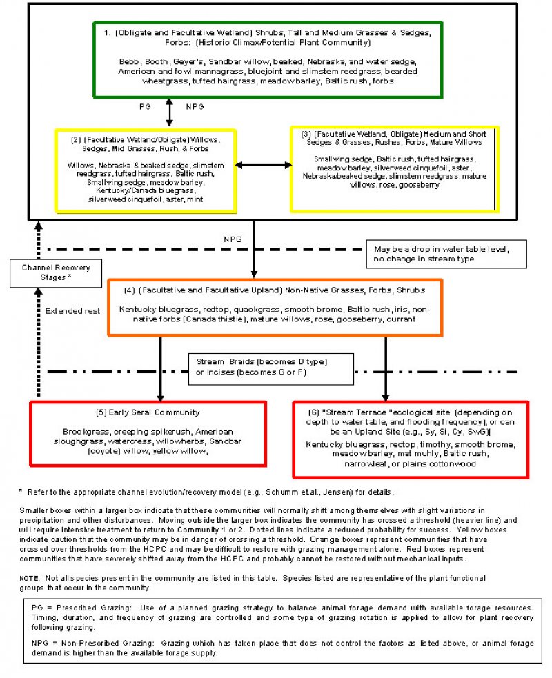 Model diagram