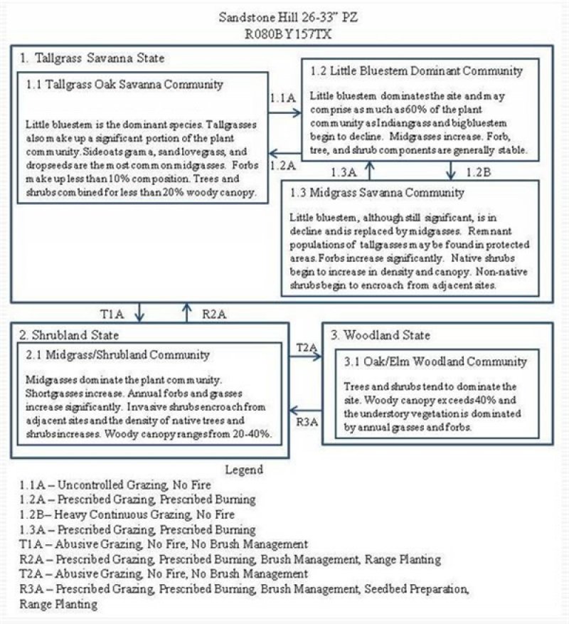Model diagram
