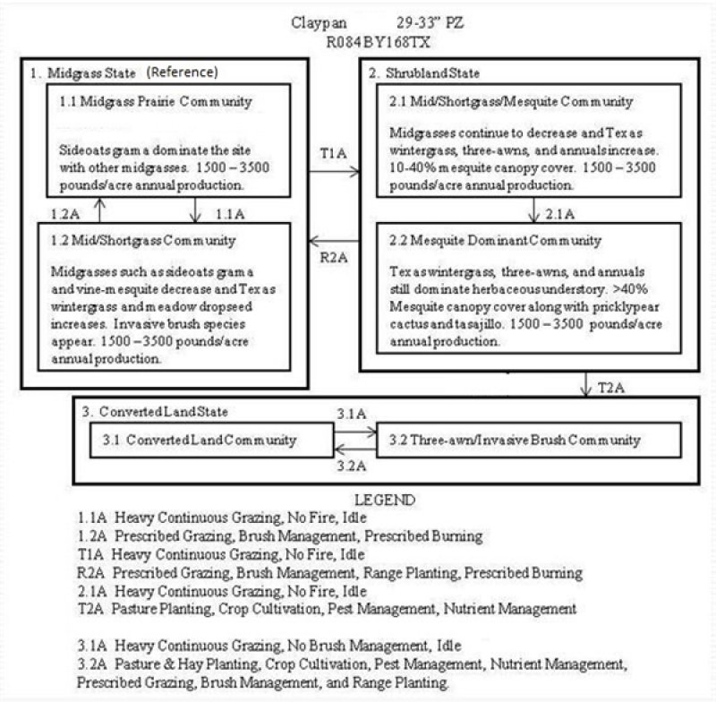 Model diagram