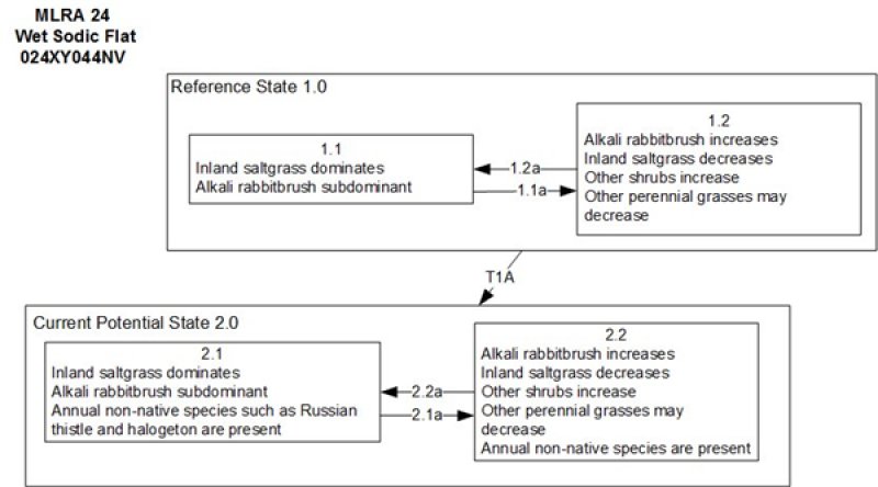 Model diagram