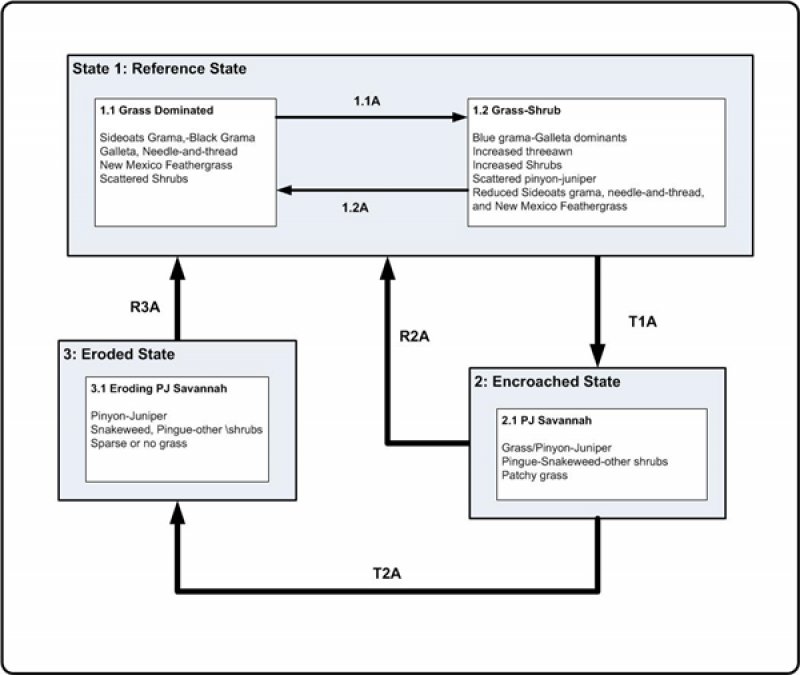 Model diagram