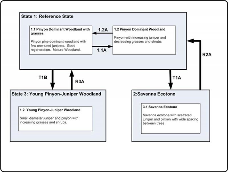 Model diagram