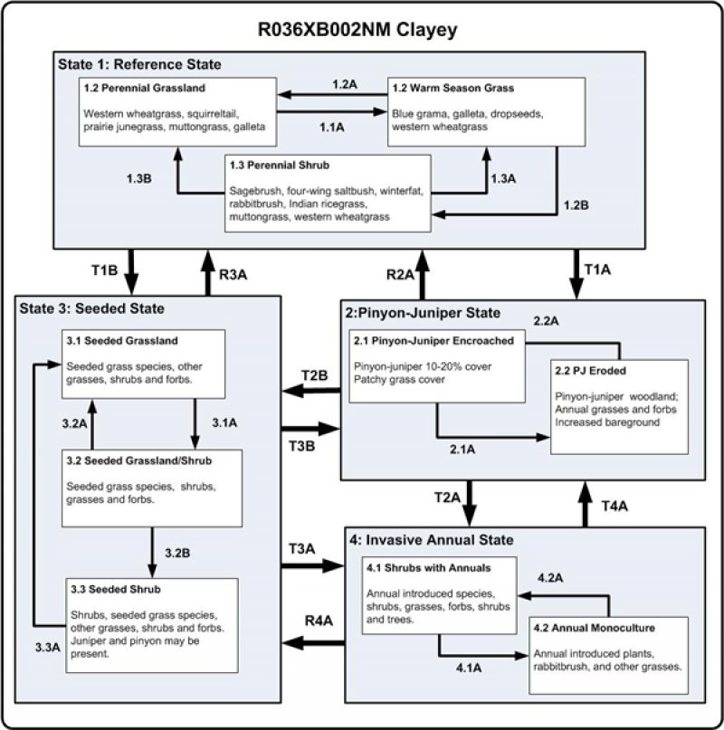 Model diagram