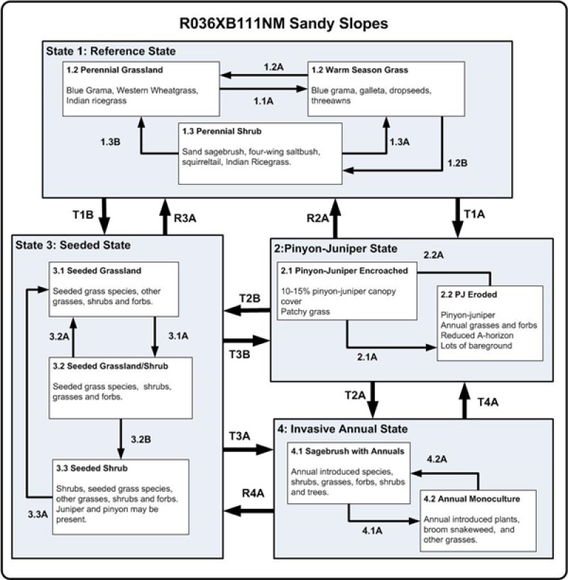 Model diagram