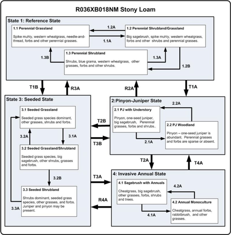 Model diagram