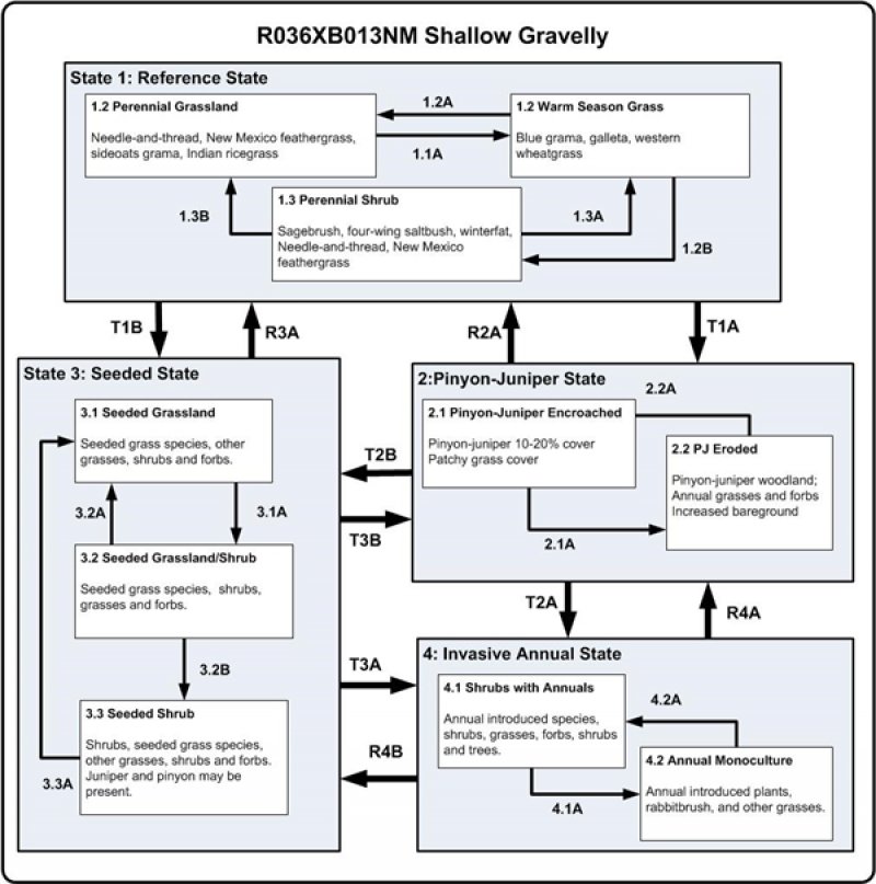 Model diagram