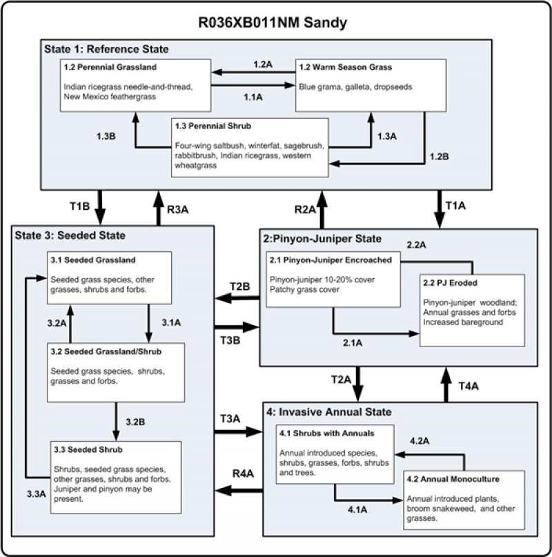 Model diagram