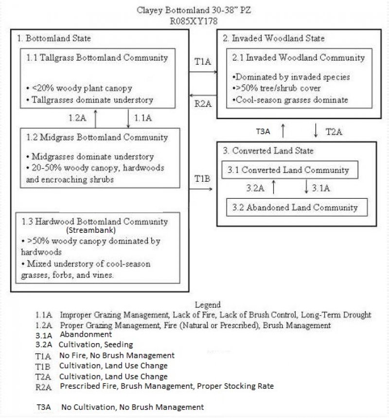 Model diagram