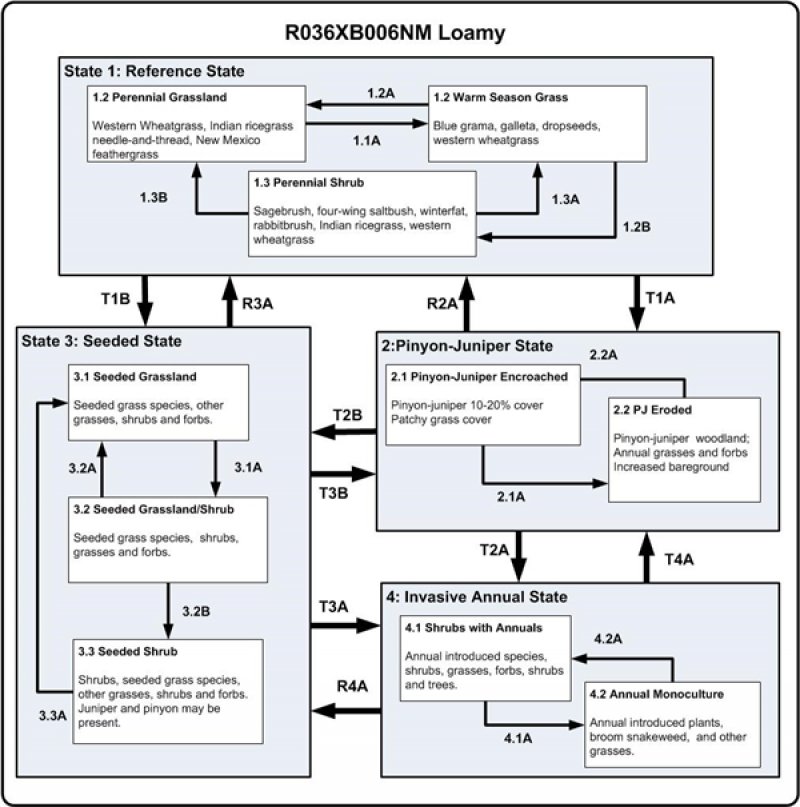 Model diagram