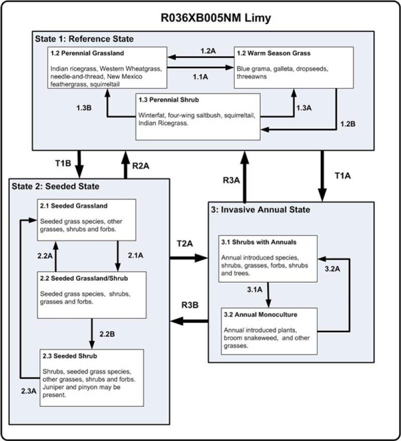 Model diagram