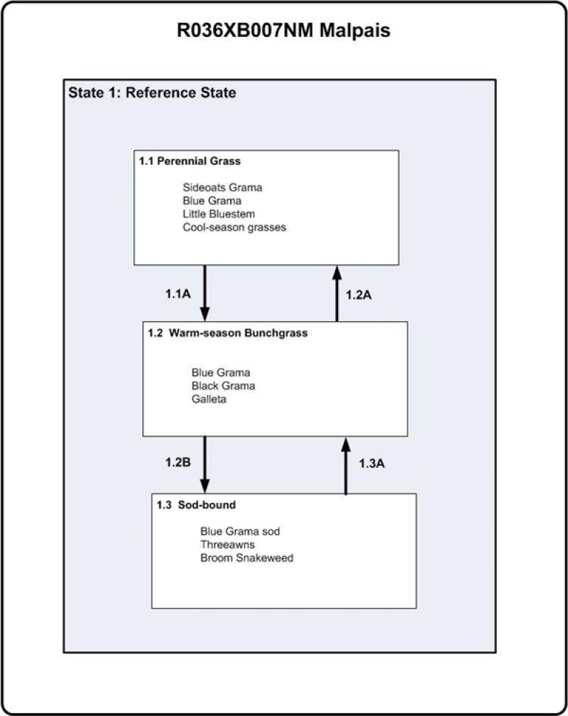 Model diagram