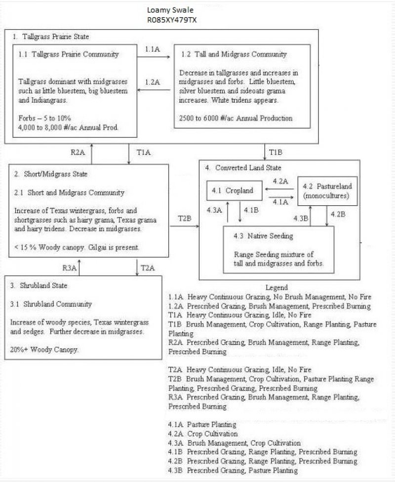 Model diagram