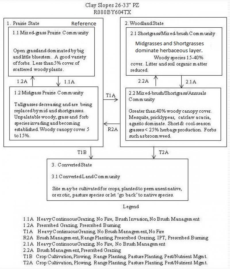 Model diagram