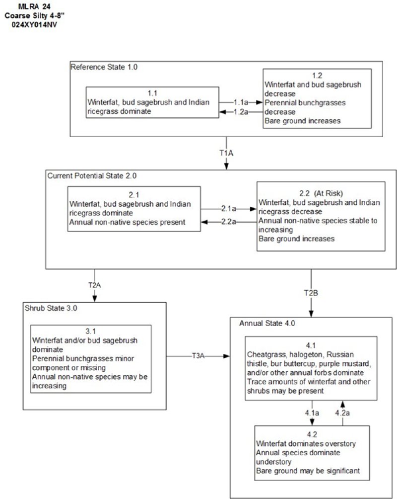 Model diagram