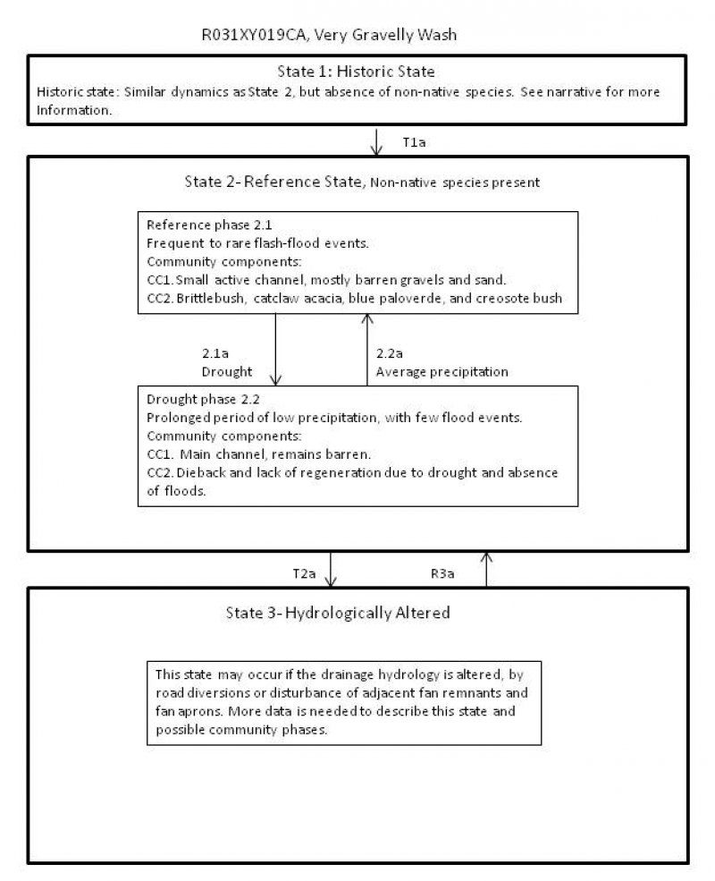 Model diagram