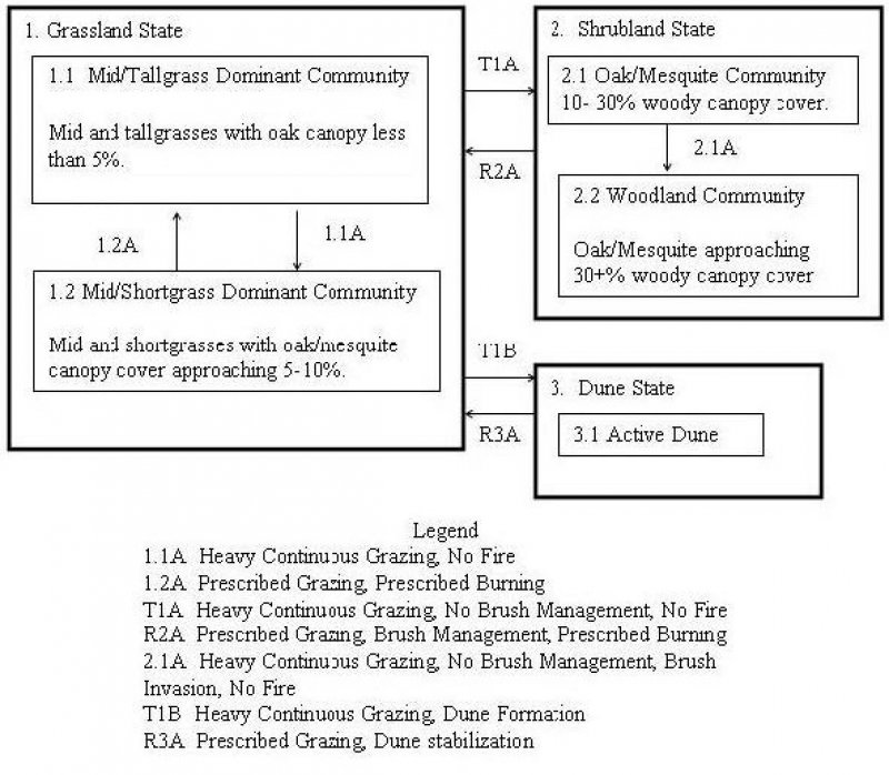Model diagram