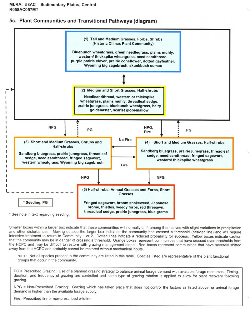 Model diagram
