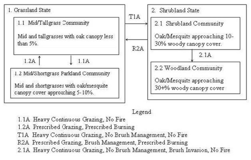 Model diagram