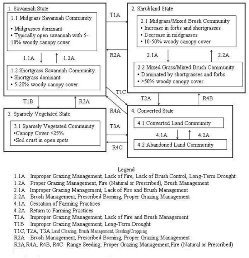 Model diagram