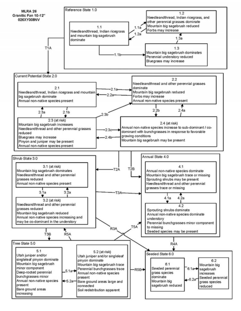 Model diagram