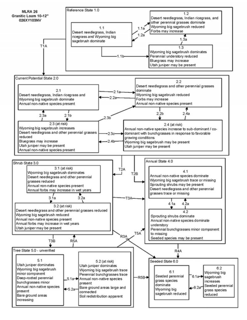 Model diagram