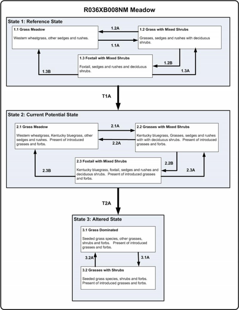 Model diagram